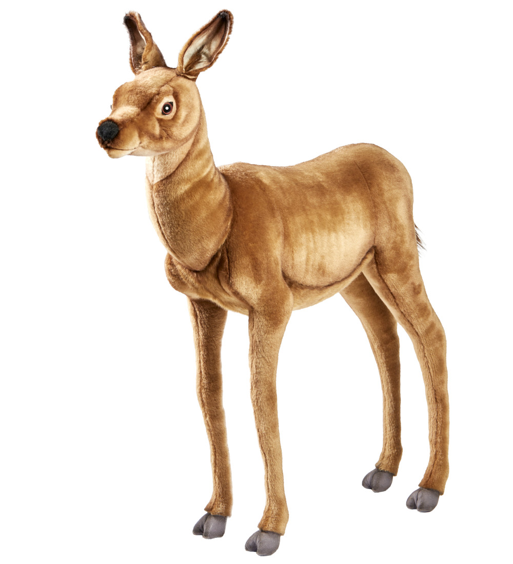 Biche – Image 2