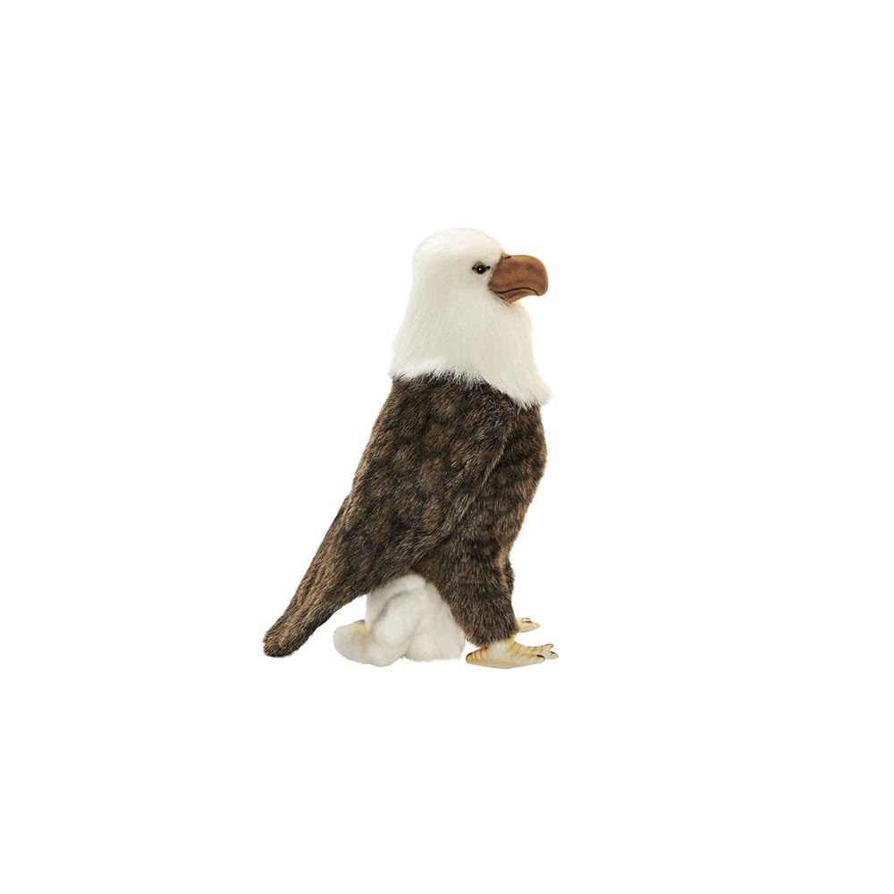 Aigle – Image 2